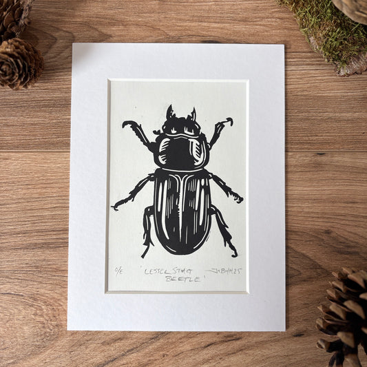 Lesser stag beetle hand printed Linocut art print