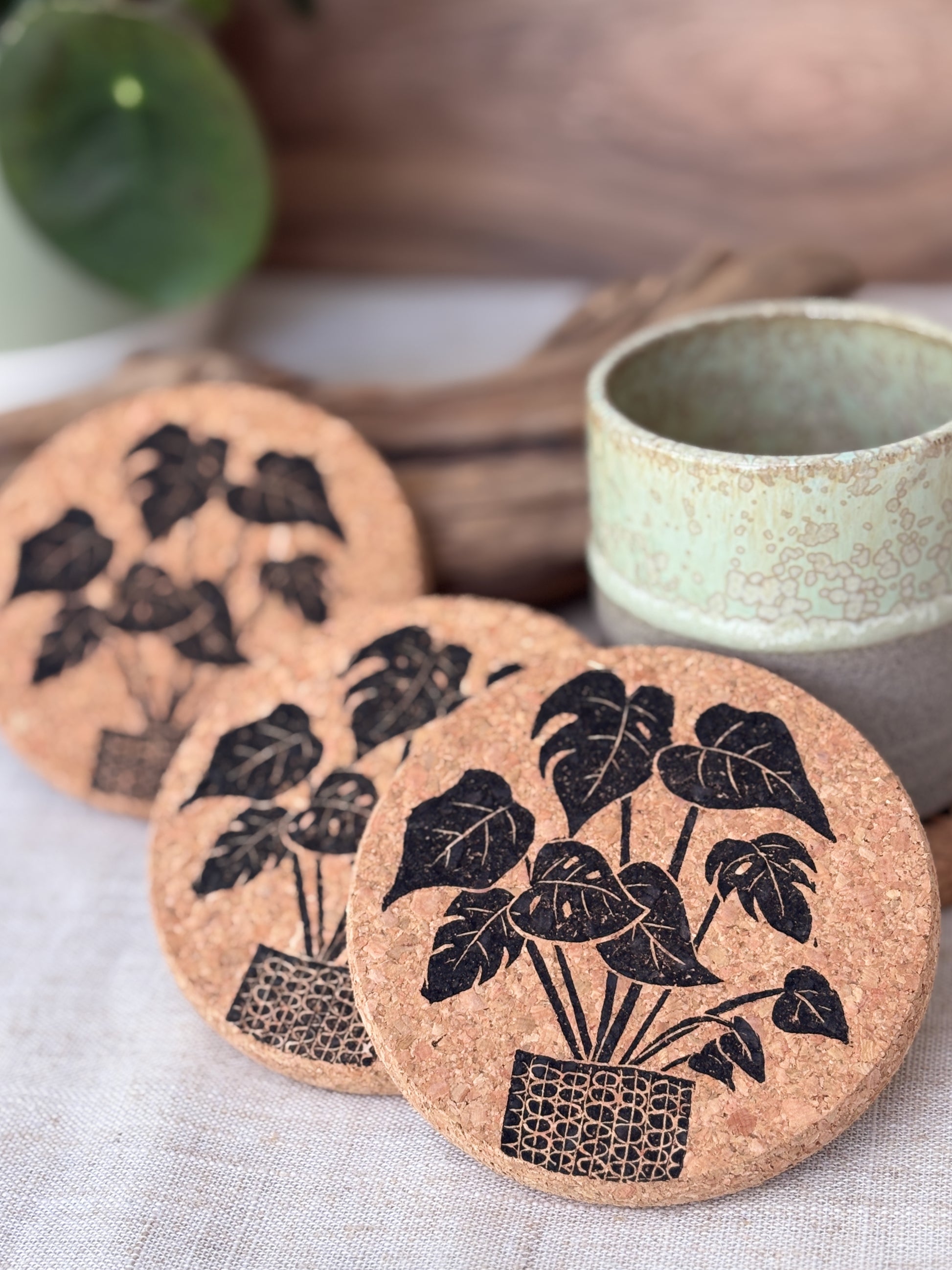 Cork coasters with monstera pot plant in black on a textured surface