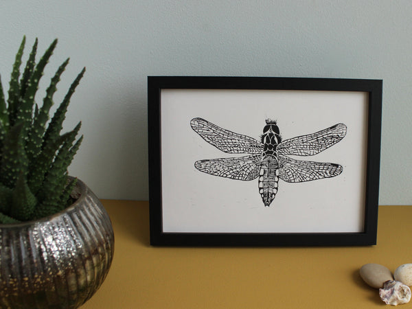 Female Broad Bodied Chaser Dragonfly original Linocut insect print