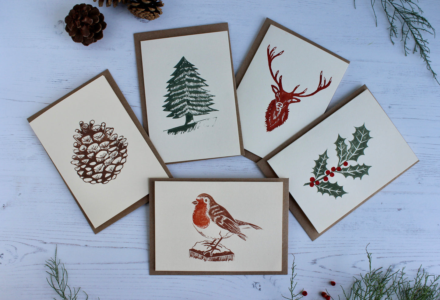 Red Deer Stag Card