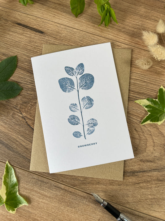 Snowberry -young botanical greeting card