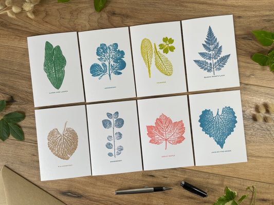 8 pk Botanical Greeting Cards - boxed
