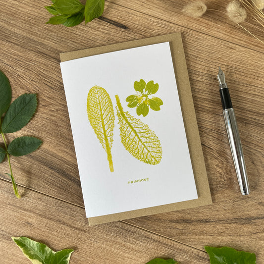 Primrose botanical greeting card