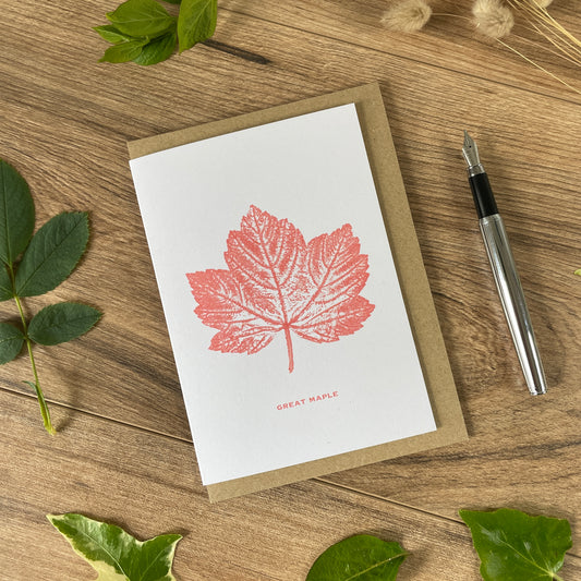 Great maple, Sycamore botanical greeting card