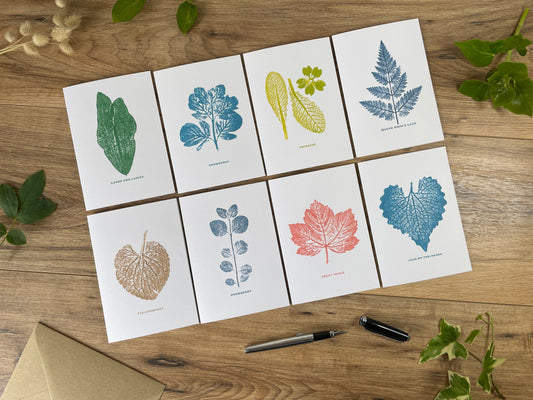8 pk Botanical Greeting Cards - boxed