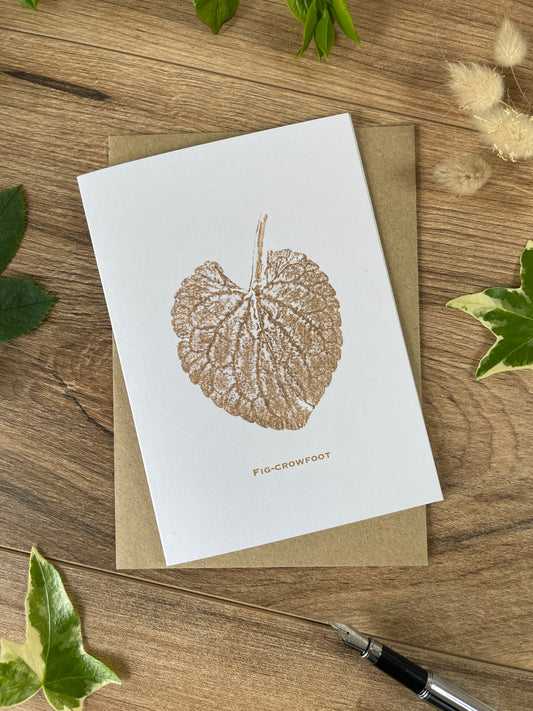 Fig-Crowfoot botanical greeting card