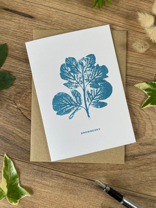 Snowberry -mature botanical greeting card