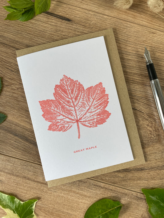 Great maple, Sycamore botanical greeting card