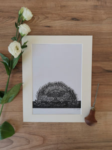 European Hedgehog linocut print by Jackdaw and Bear, hand printed wildlife illustration for nature lovers, mounted in 8x10" cream mount, perfect for ecologists, gardeners and nature lovers.