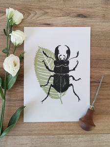 Collection of original linocut insect art prints, stag beetle and chestnut leaf print
