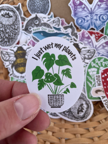 Monstera I wet my plants - Eco-friendly Sticker