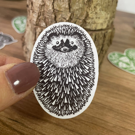 Hedgehog - Eco friendly Sticker