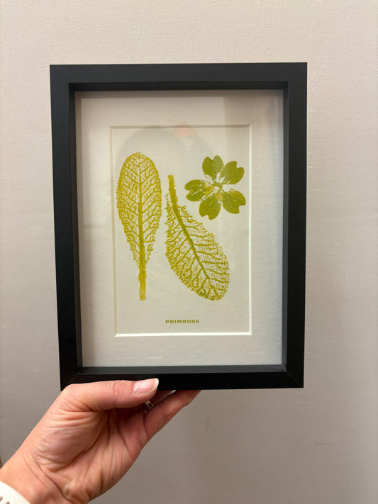Primrose mono print