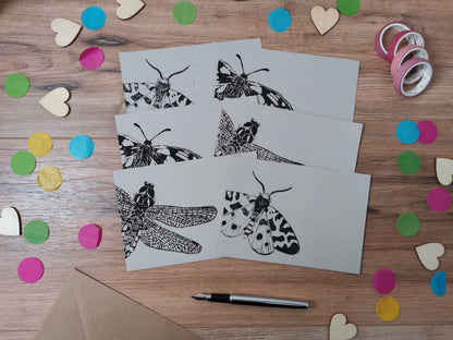 Insect notecards