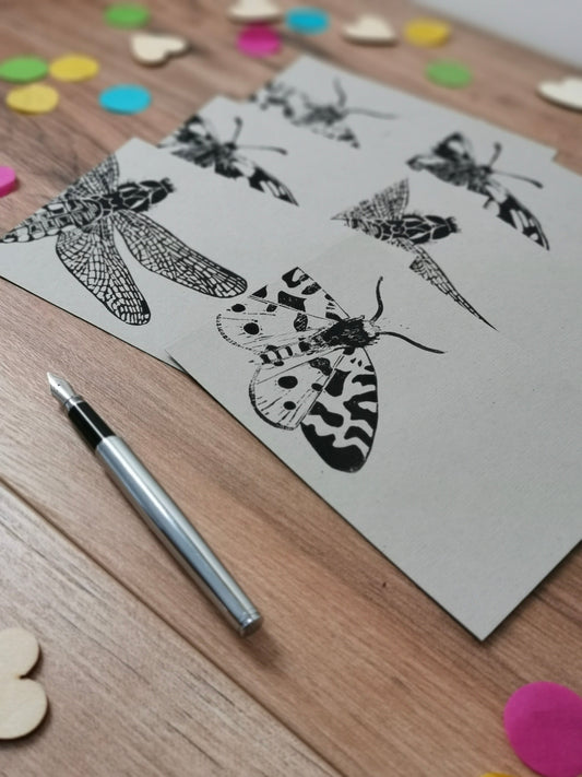 Insect notecards
