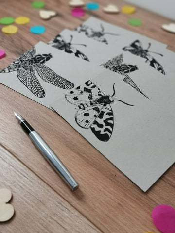 Insect notecards
