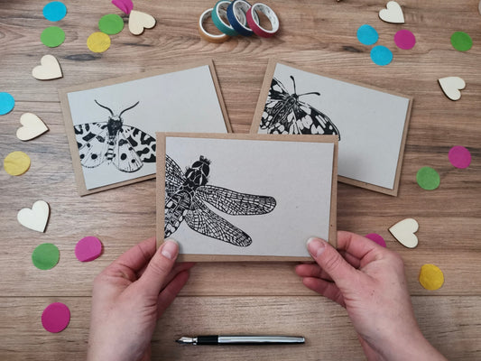 Insect notecards