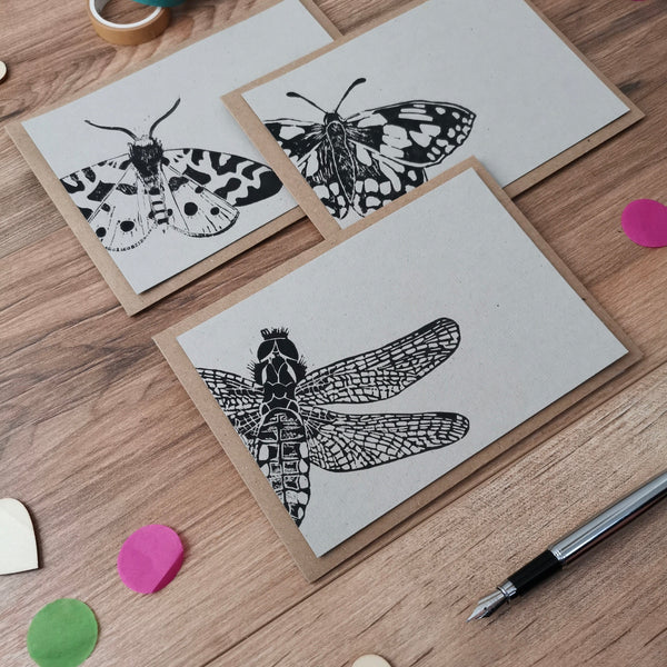 Insect notecards