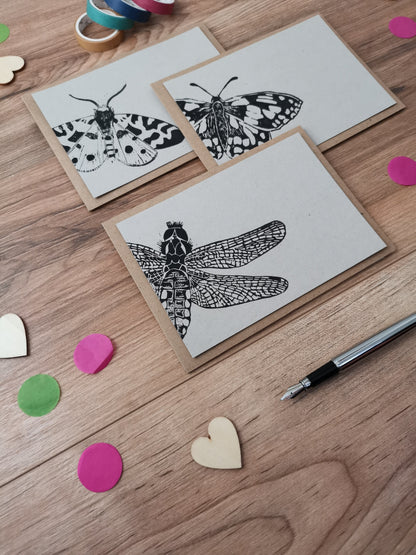 Insect notecards