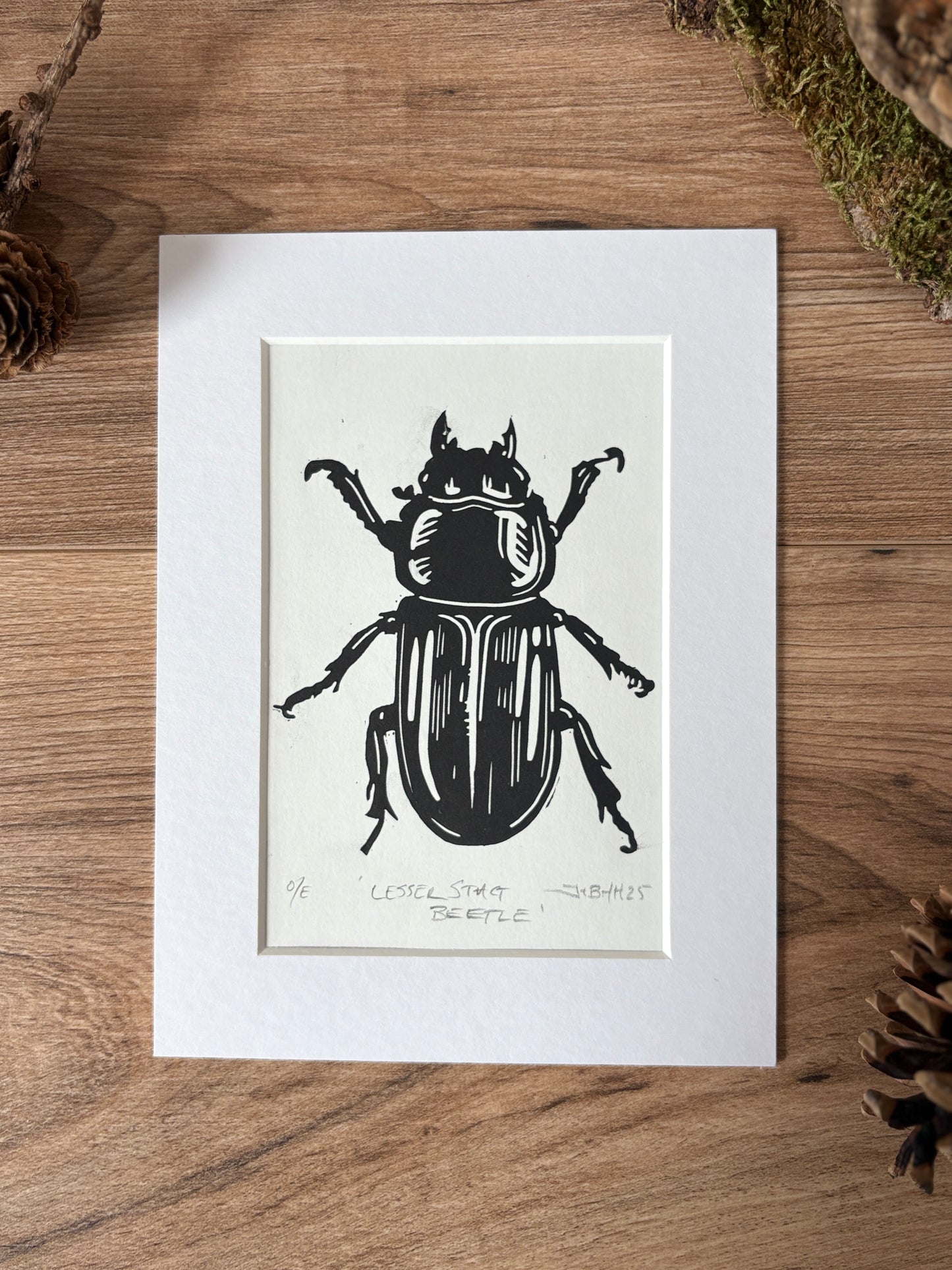 Lesser stag beetle hand printed Linocut art print
