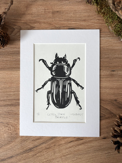 Lesser stag beetle hand printed Linocut art print