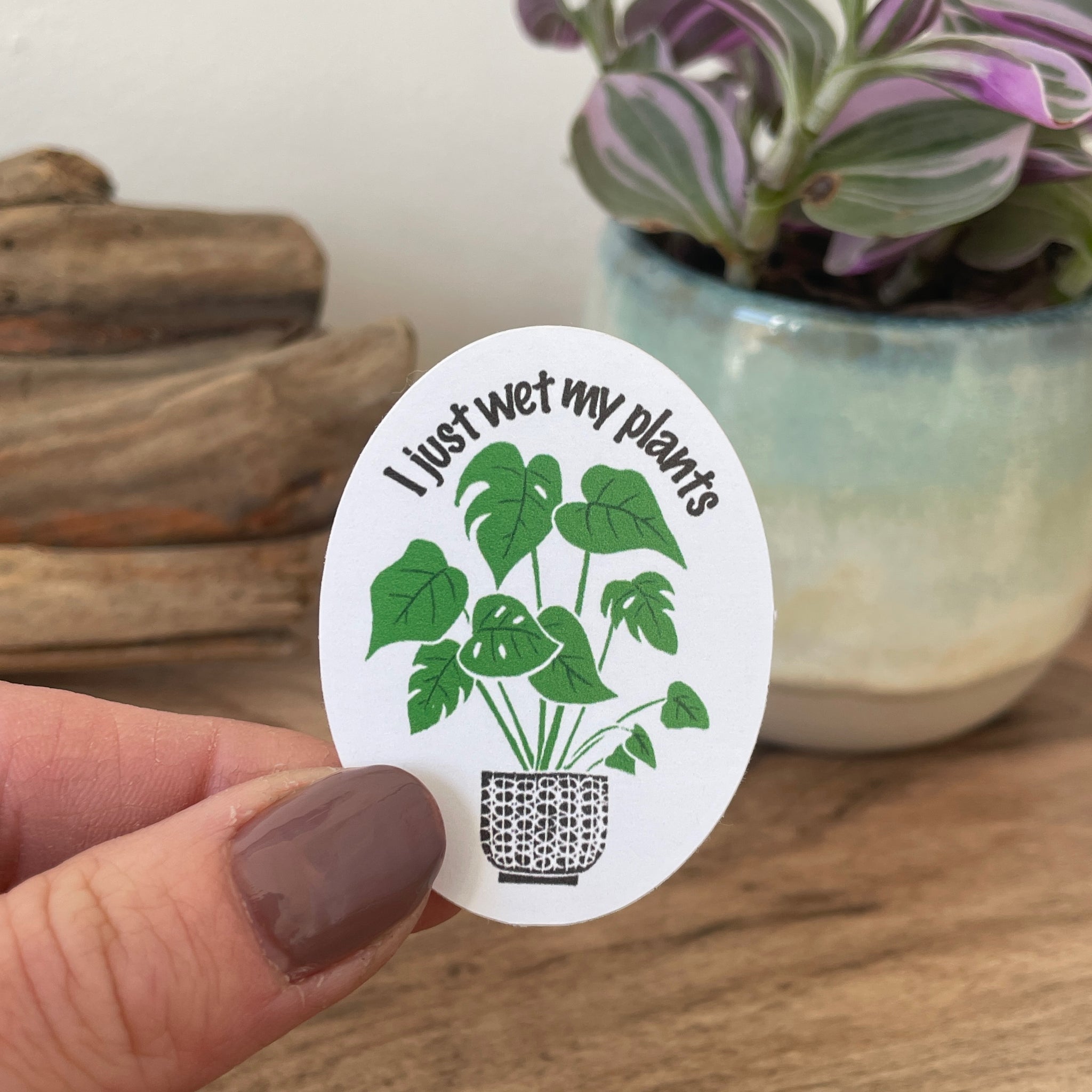 Monstera I wet my plants - Eco-friendly Sticker