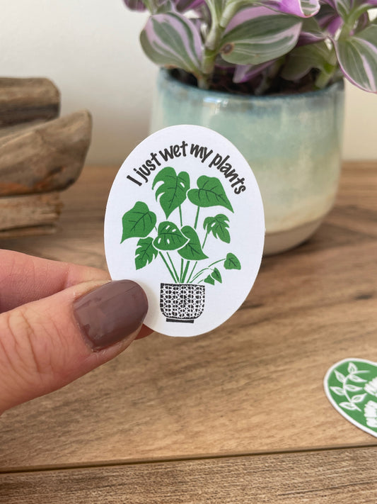 Monstera I wet my plants - Eco-friendly Sticker