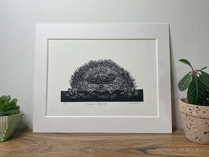 Peekaboo European Hedgehog original mammal Linocut print