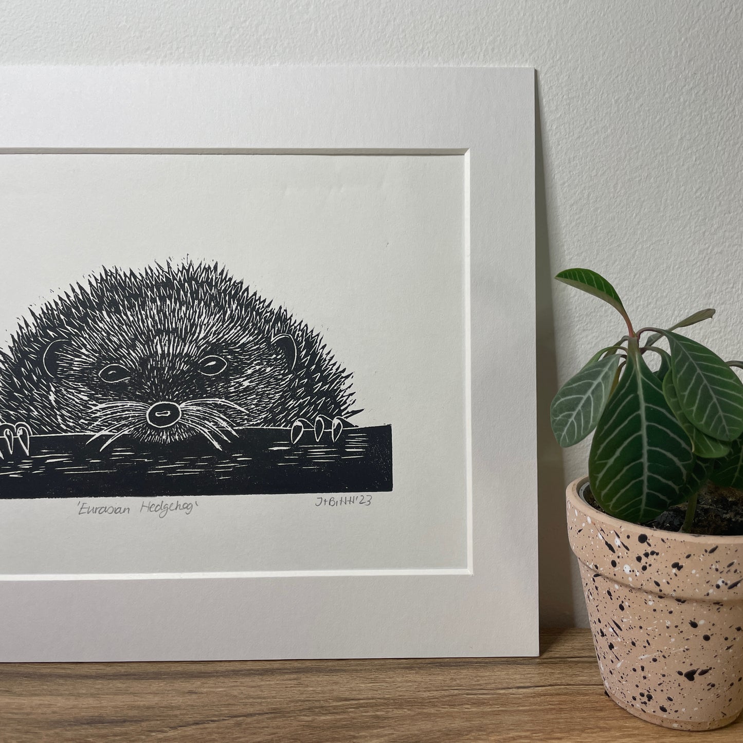 Peekaboo European Hedgehog original mammal Linocut print