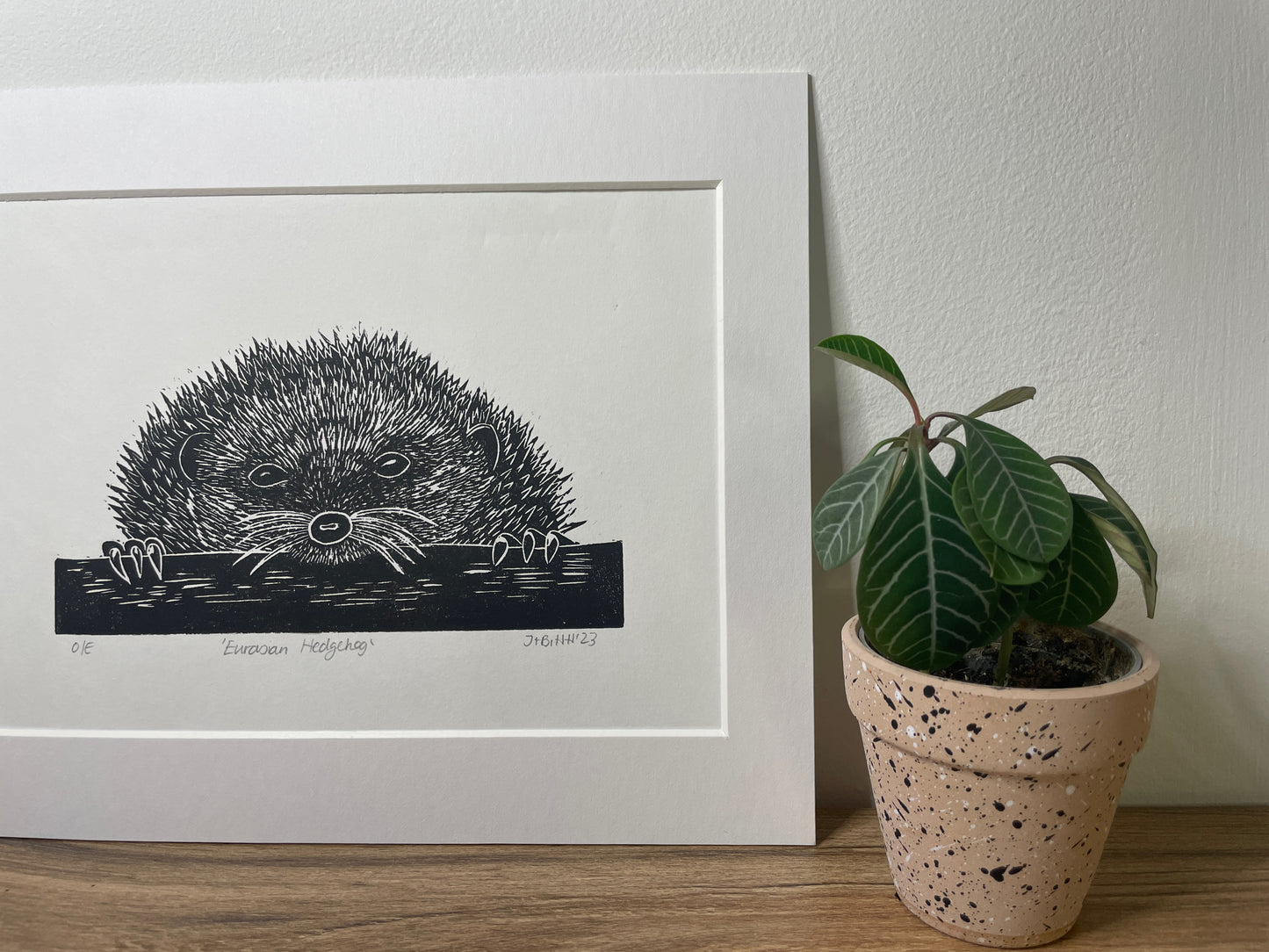 Peekaboo European Hedgehog original mammal Linocut print
