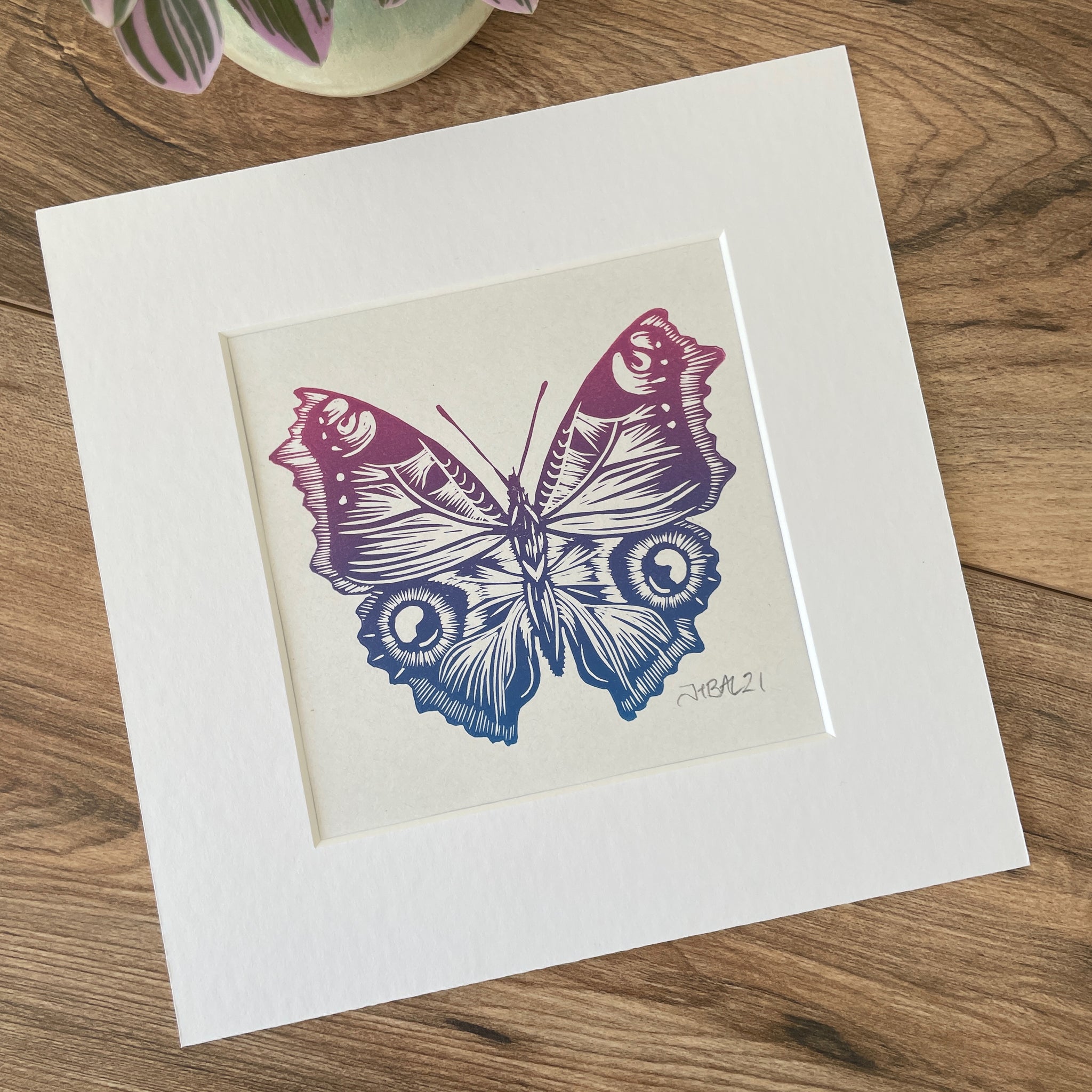 Butterfly Linocut art print, hand printed peacock butterfly by Jackdaw and Bear