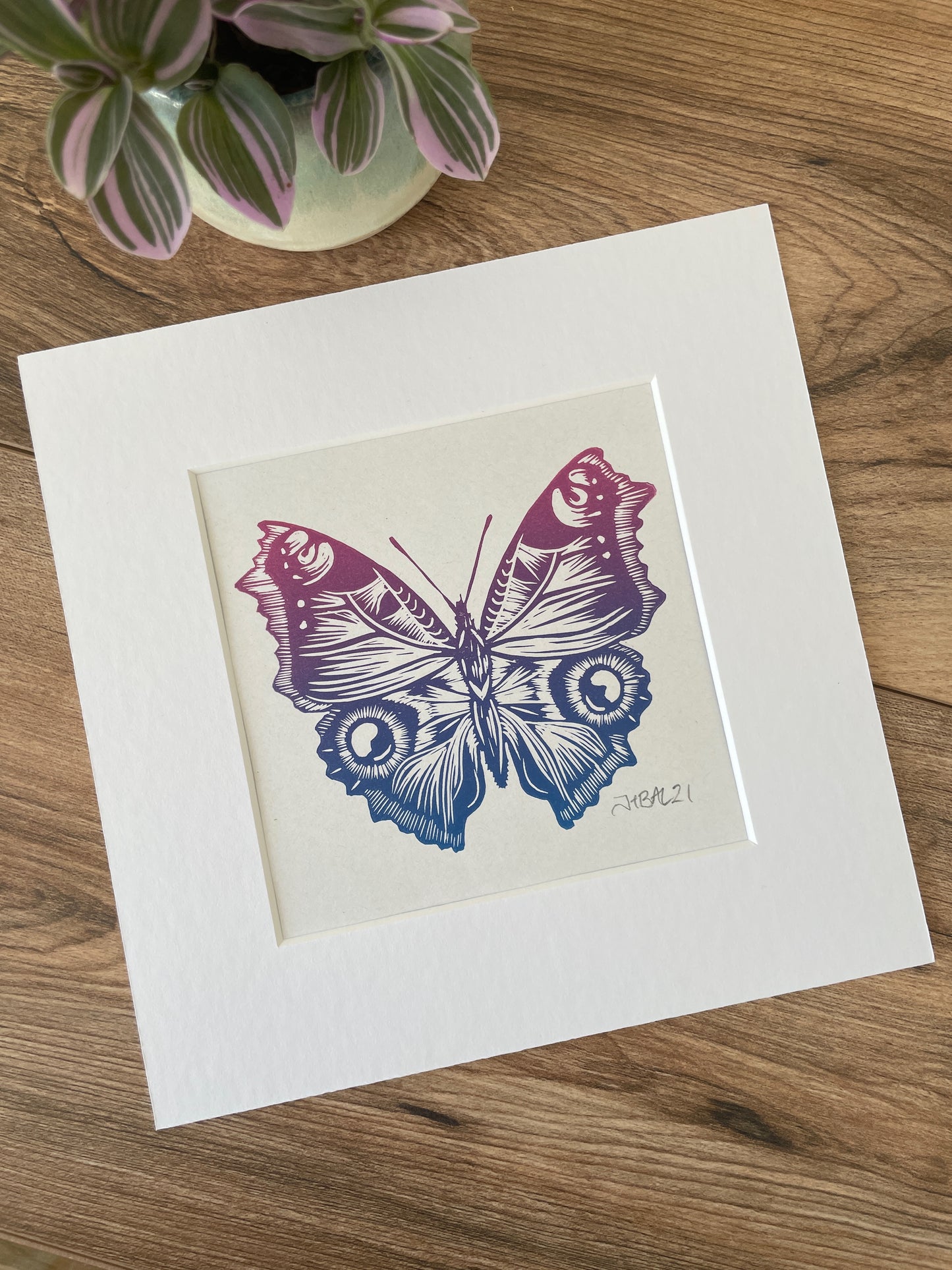 Butterfly Linocut art print, hand printed peacock butterfly by Jackdaw and Bear