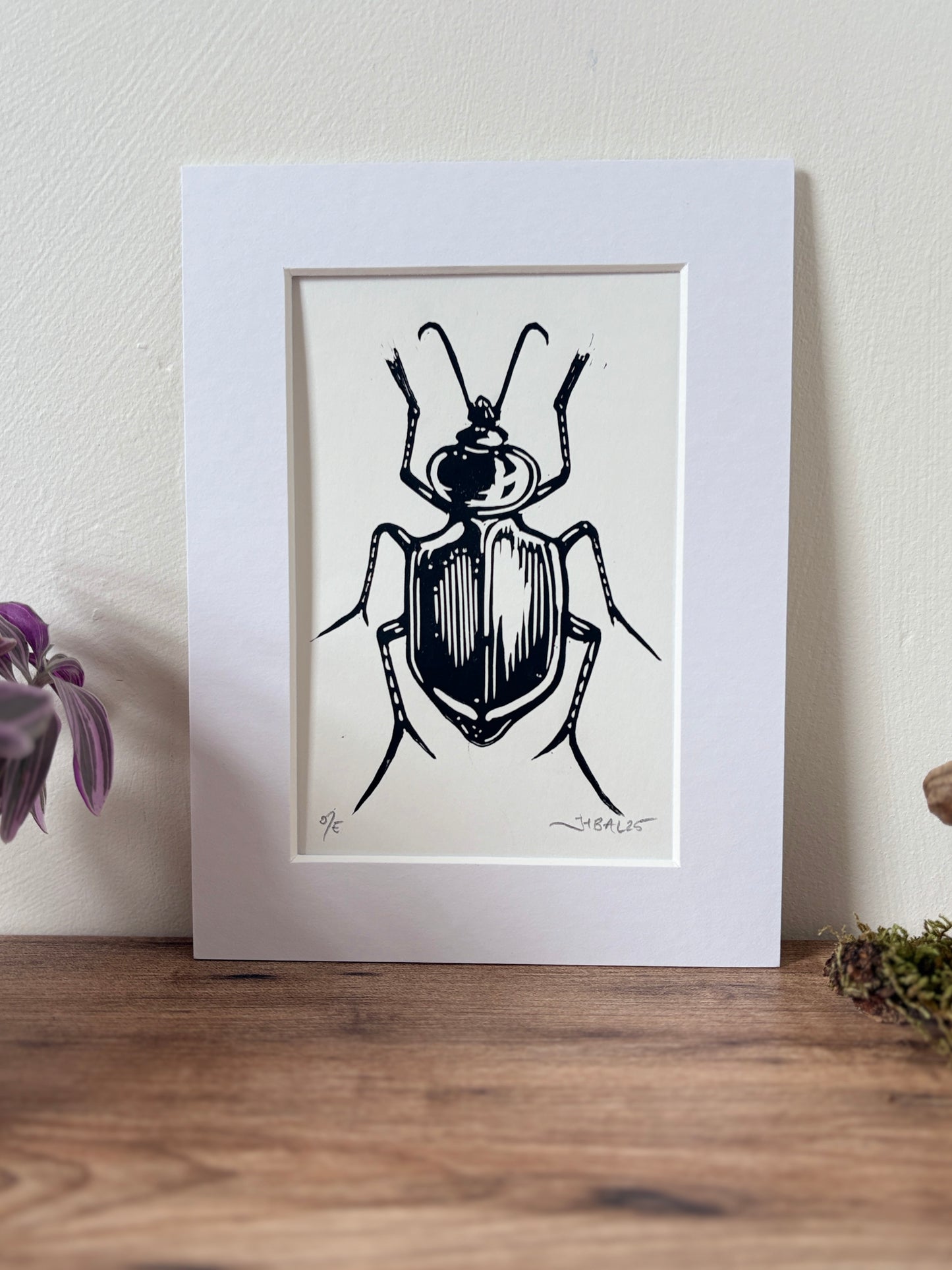 Sycophant beetle hand printed Linocut art print