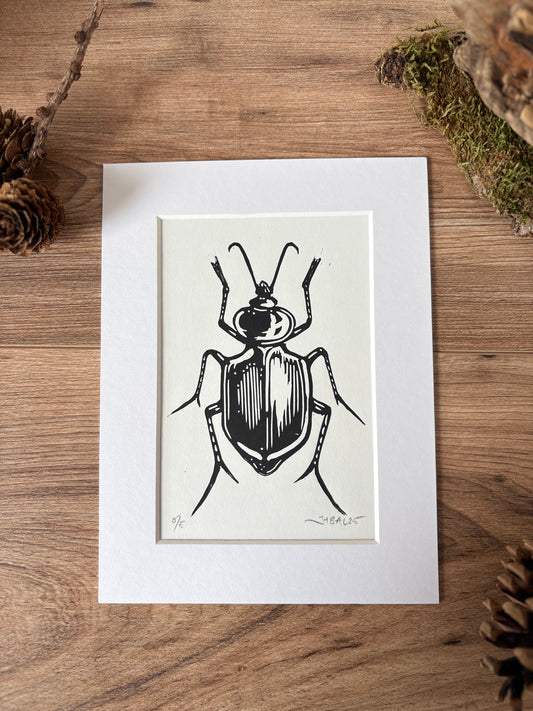 Sycophant beetle hand printed Linocut art print