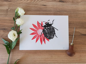 Seven-spot Ladybird on flower, hand printed ladybug original insect Lino print