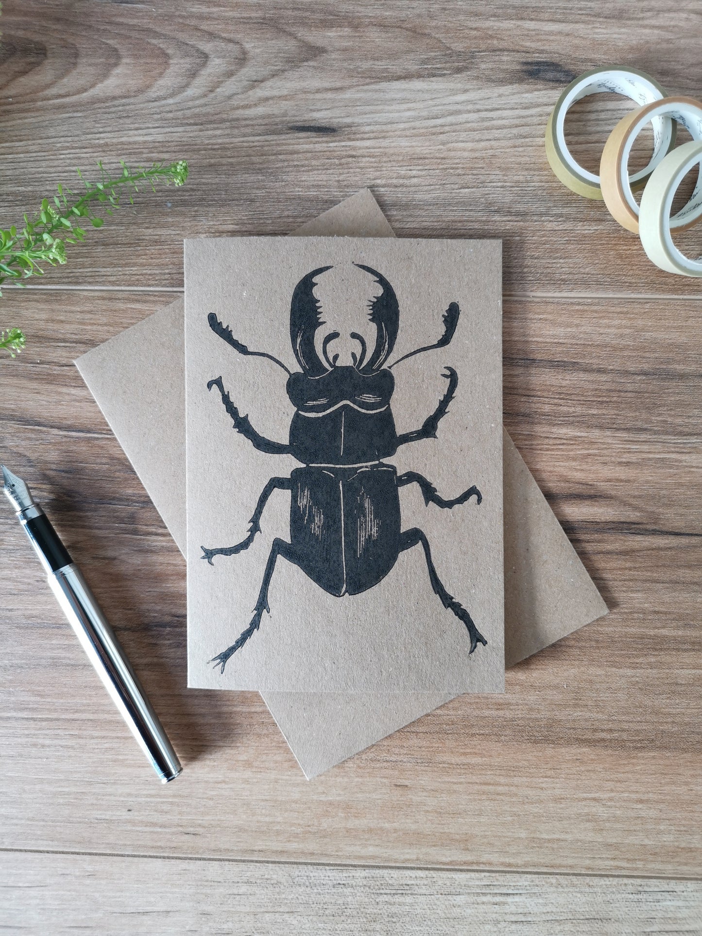 Male Stag Beetle greeting card