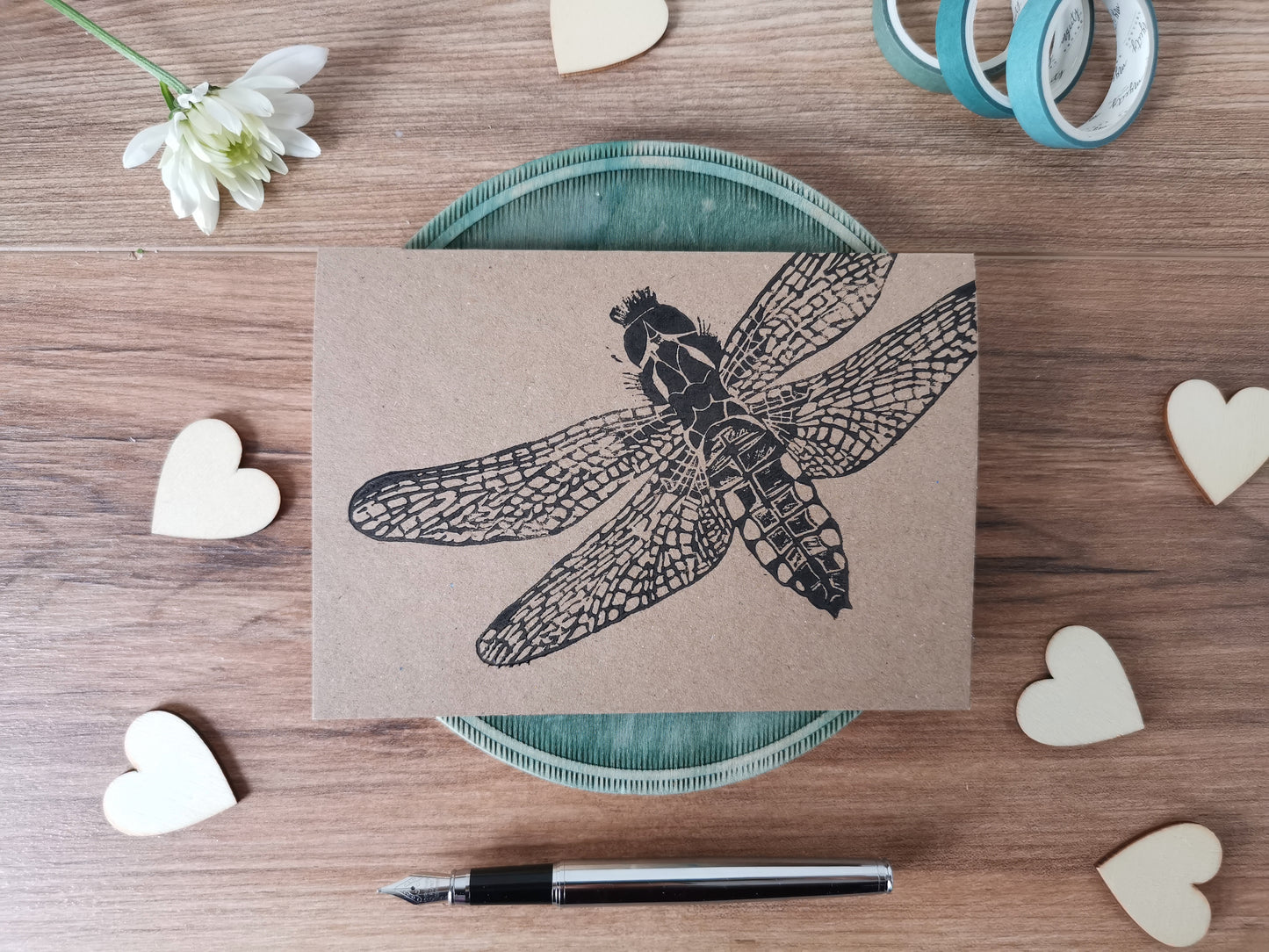 5 pack insect greeting card