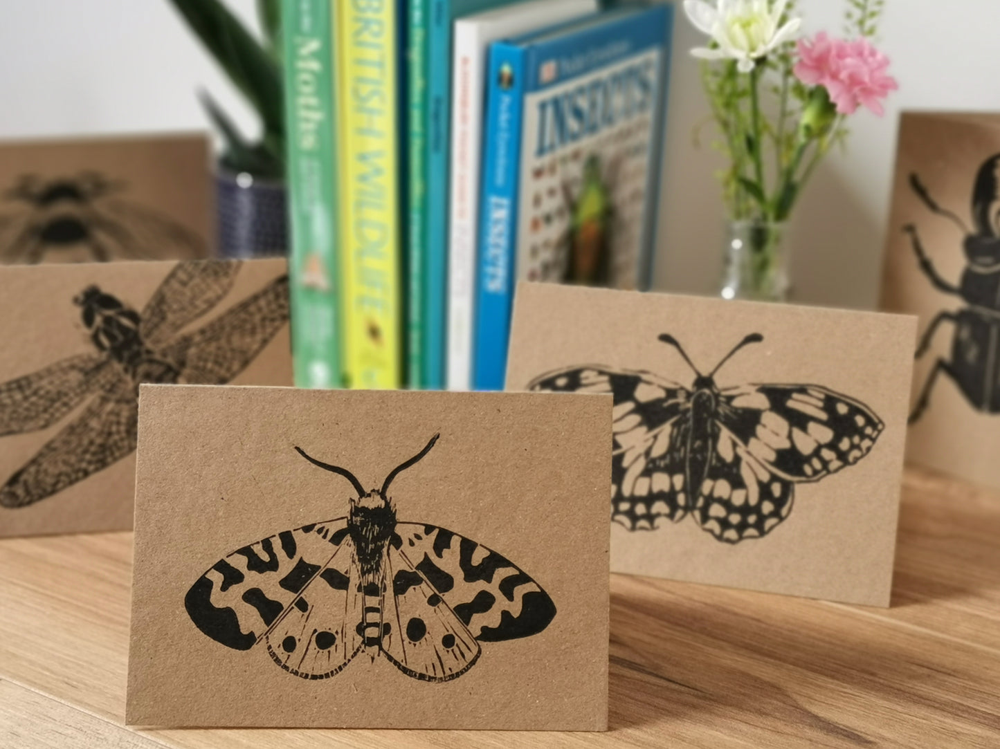 5 pack insect greeting card