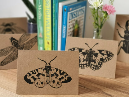5 pack insect greeting card