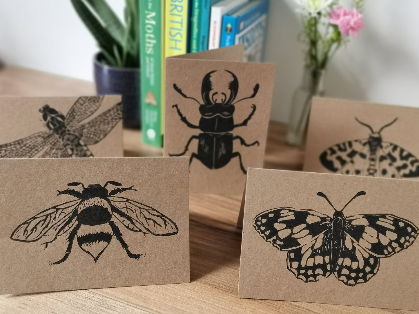 5 pack insect greeting card