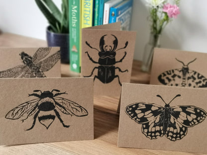 5 pack insect greeting card