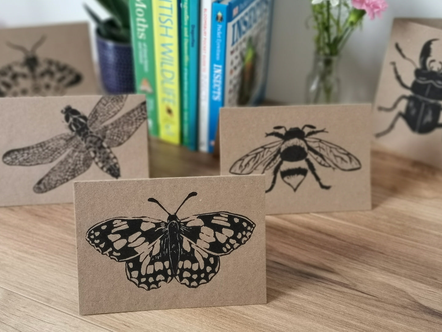 5 pack insect greeting card