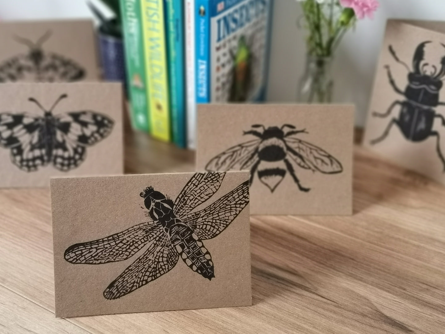 5 pack insect greeting card