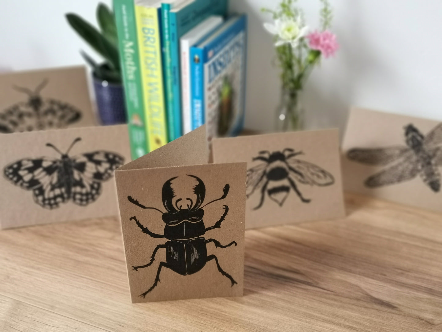 5 pack insect greeting card
