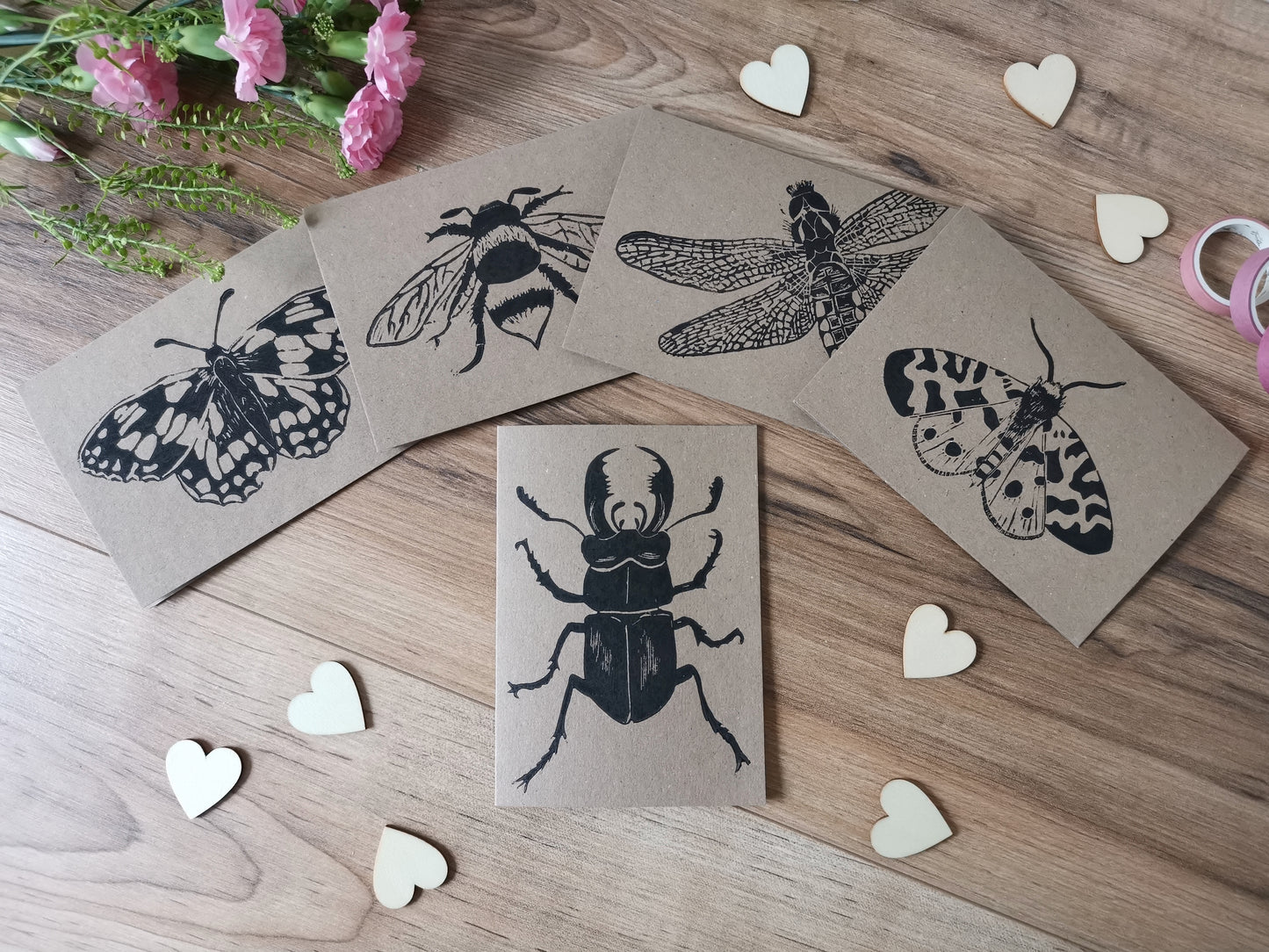 5 pack insect greeting card