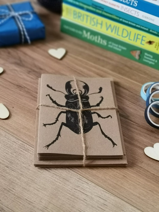 5 pack insect printed greeting card, stag beetle card