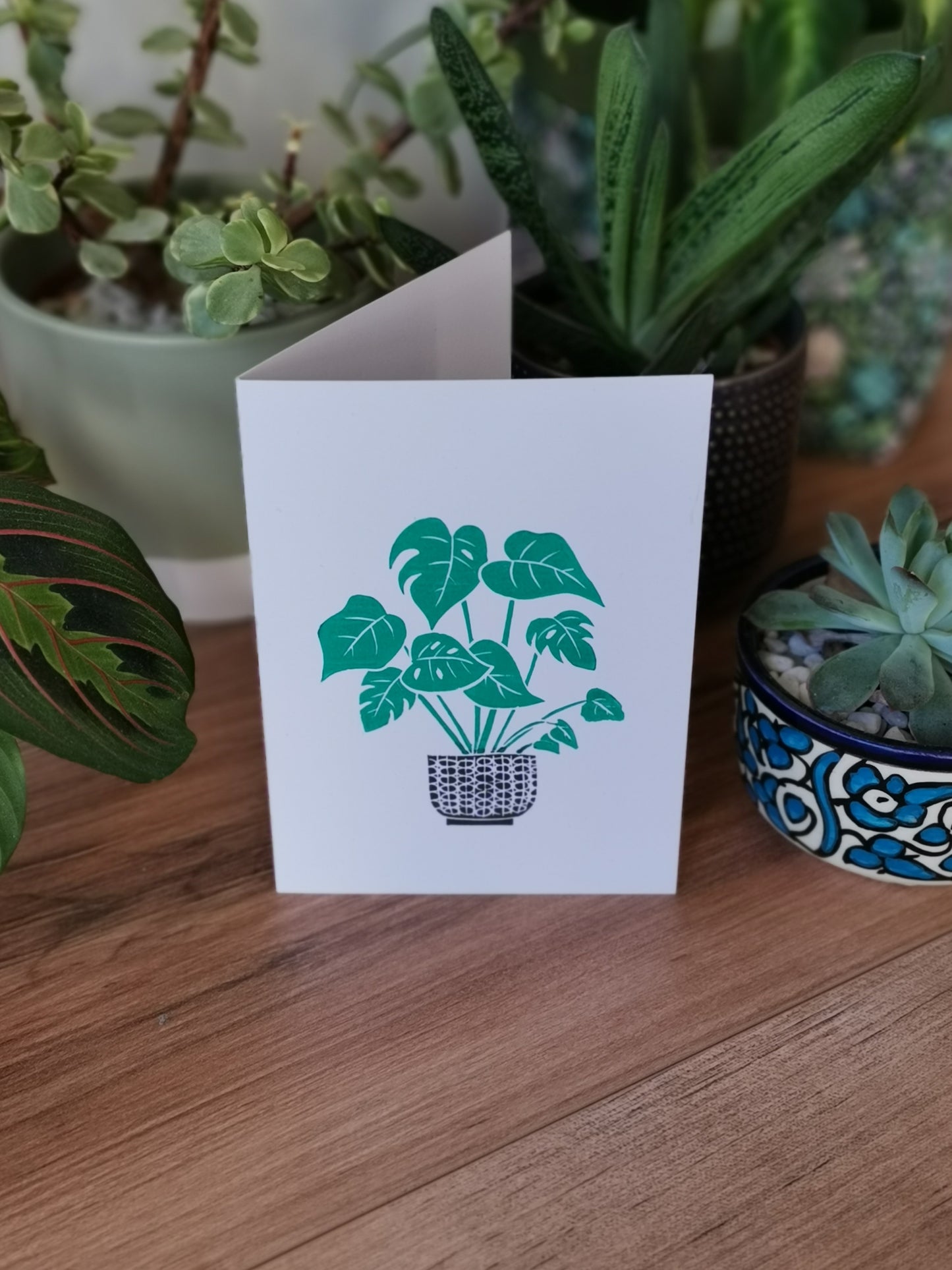 Monstera pot plant greeting card