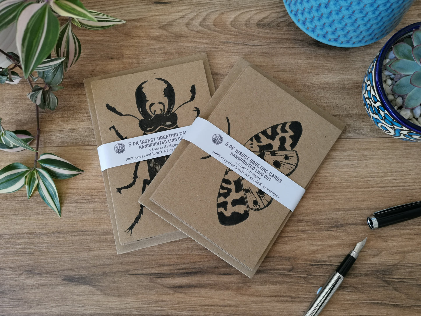 5 pack insect greeting card