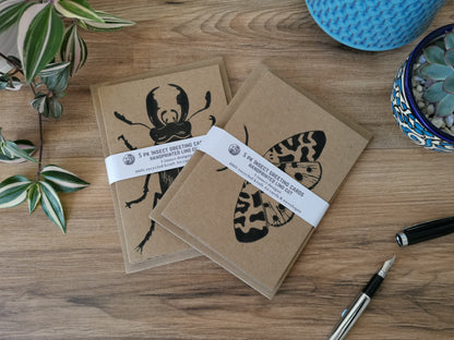 5 pack insect greeting card