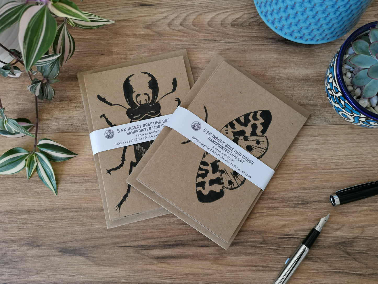 5 pack insect greeting card